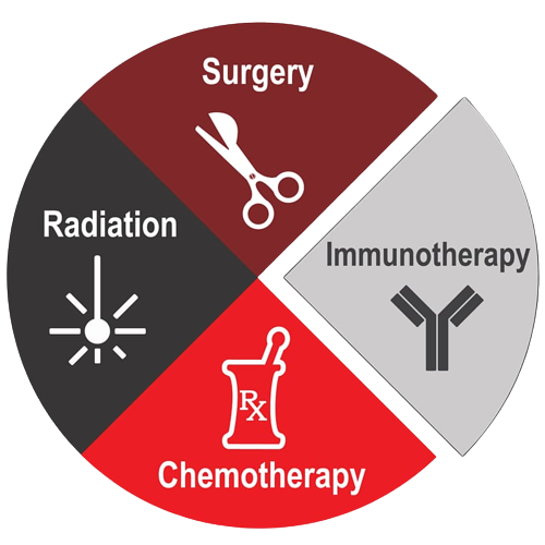 Immunotherapy